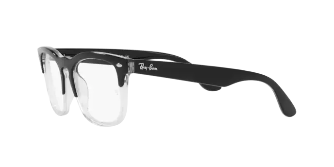 Ray-Ban Steve RX4487V 8193