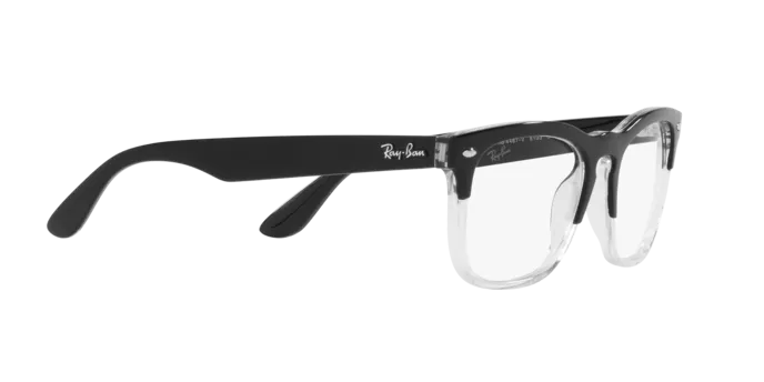 Ray-Ban Steve RX4487V 8193
