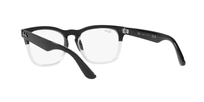 Ray-Ban Steve RX4487V 8193