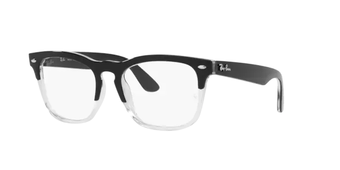 Ray-Ban Steve RX4487V 8193