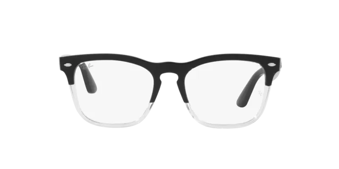 Ray-Ban Steve RX4487V 8193