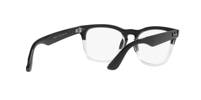 Ray-Ban Steve RX4487V 8193