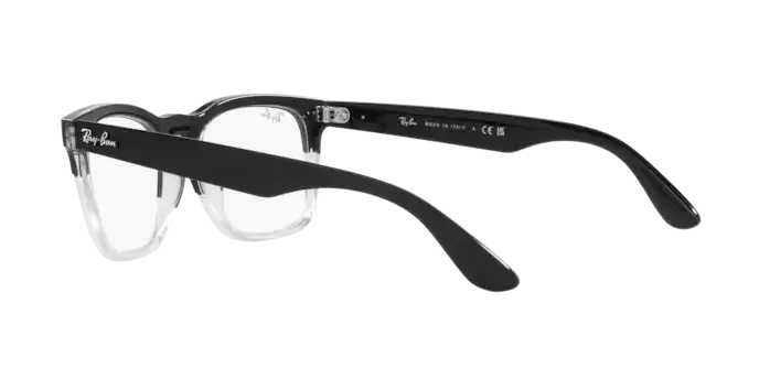 Ray-Ban Steve RX4487V 8193