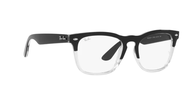 Ray-Ban Steve RX4487V 8193