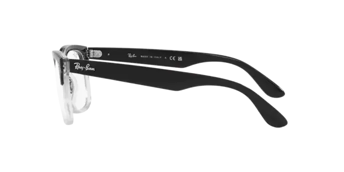 Ray-Ban Steve RX4487V 8193
