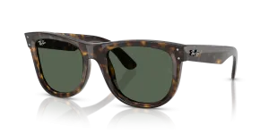 Ray-Ban Wayfarer Reverse RBR0502S 6790VR