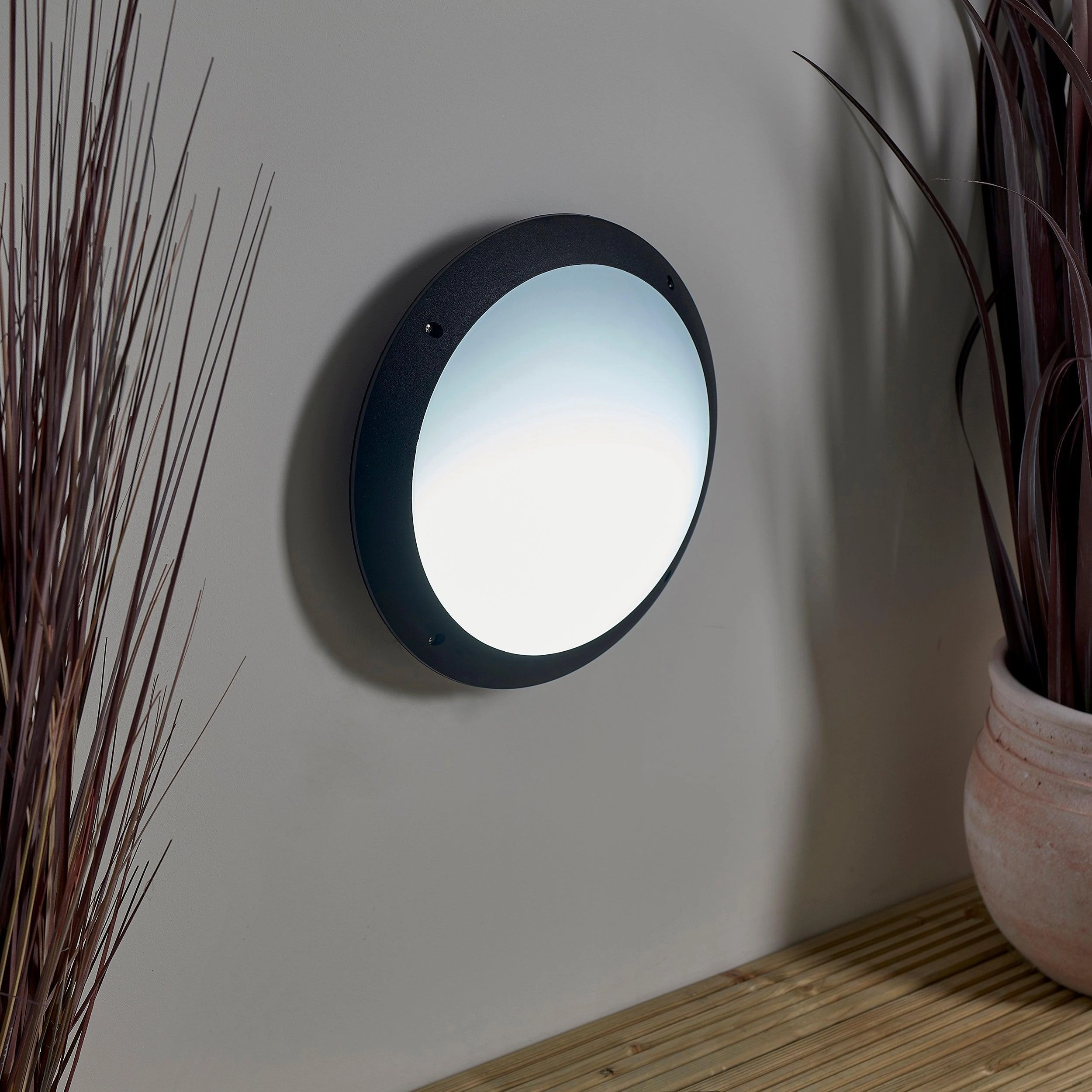 Seran Black Outdoor Flush Bulkhead Light IP65 12W