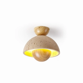 Sonoma Ceiling Lamp recessed ceiling spot lamp