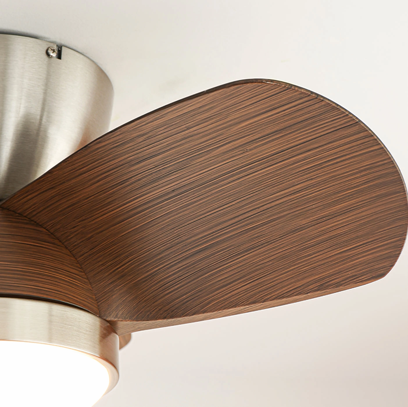 Talaya Ceiling Fan Light