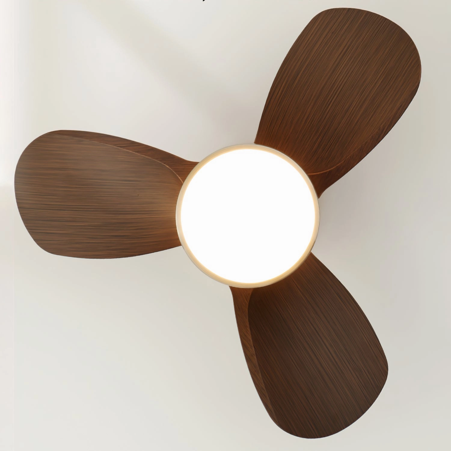Talaya Ceiling Fan Light