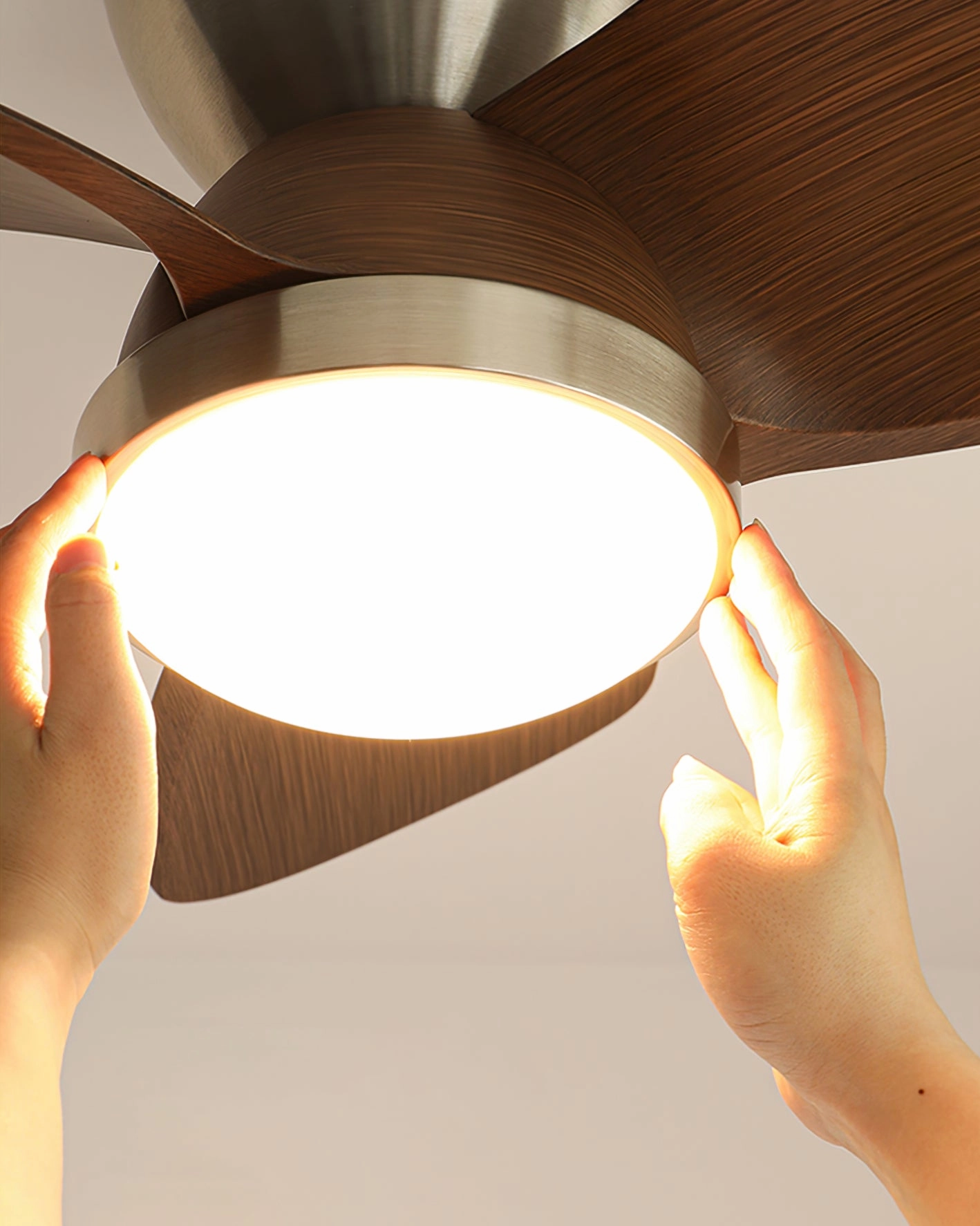 Talaya Ceiling Fan Light