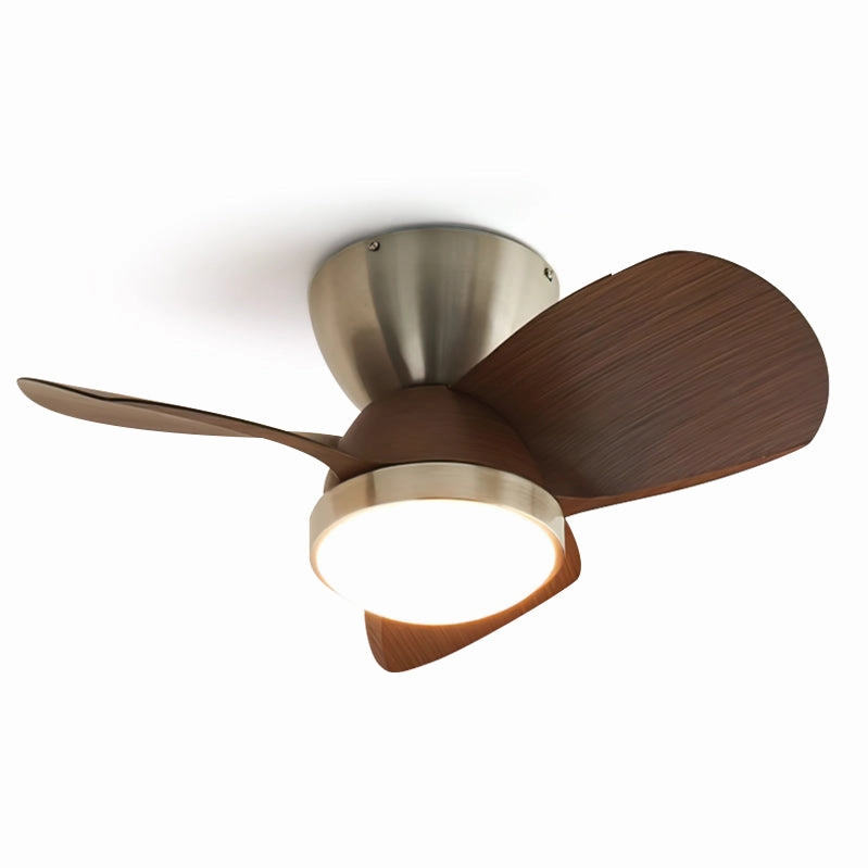 Talaya Ceiling Fan Light