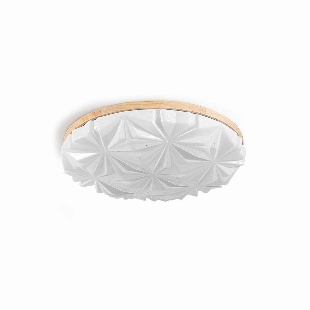 Venner Ceiling Lamp recessed ceiling spot lamp