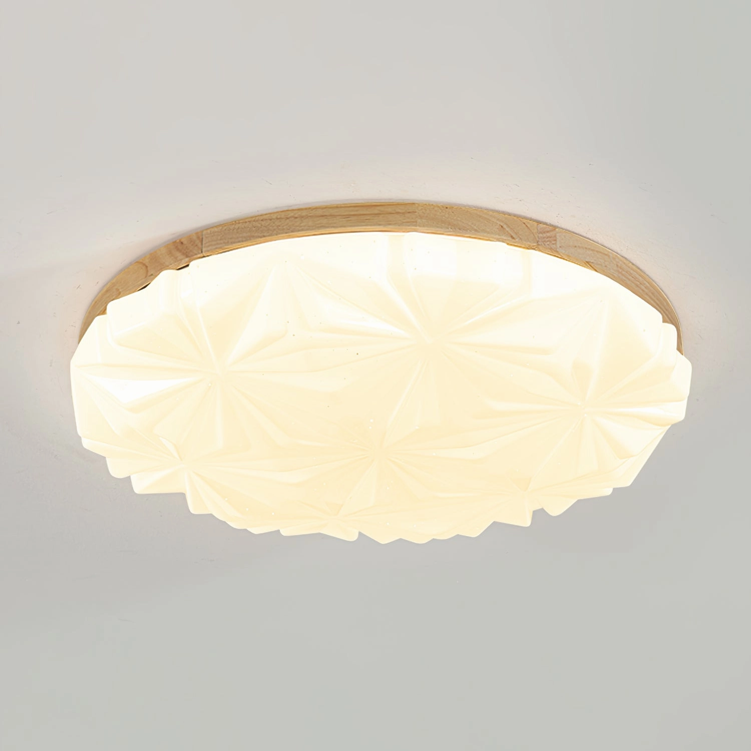 Venner Ceiling Lamp