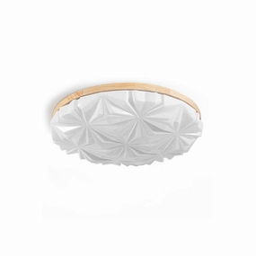 Venner Ceiling Lamp recessed ceiling spot lamp